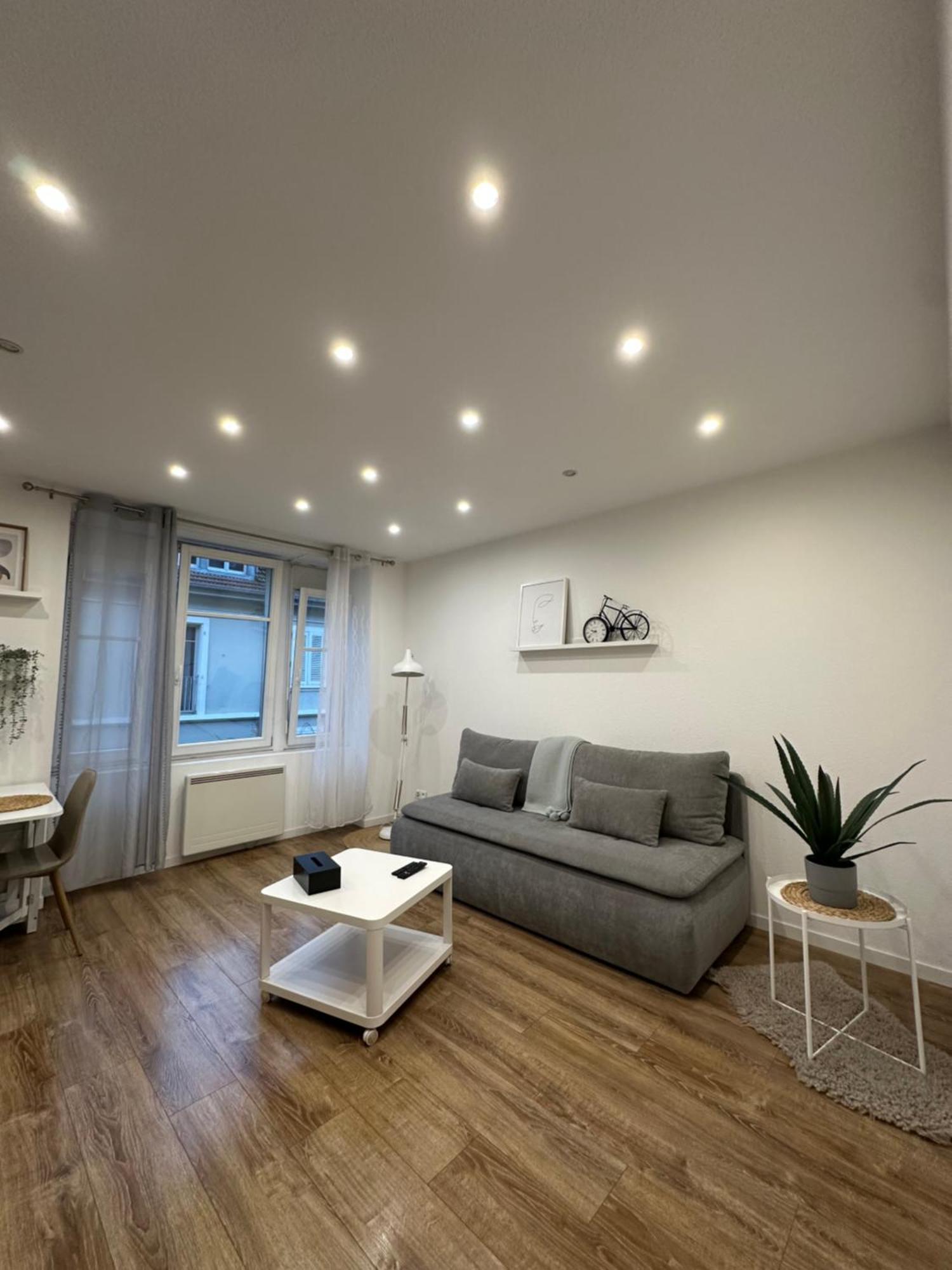 # Le 2 # Tres Beau T3 1Er Etage Tout Confort, Neuf, Mulhouse Centre المظهر الخارجي الصورة